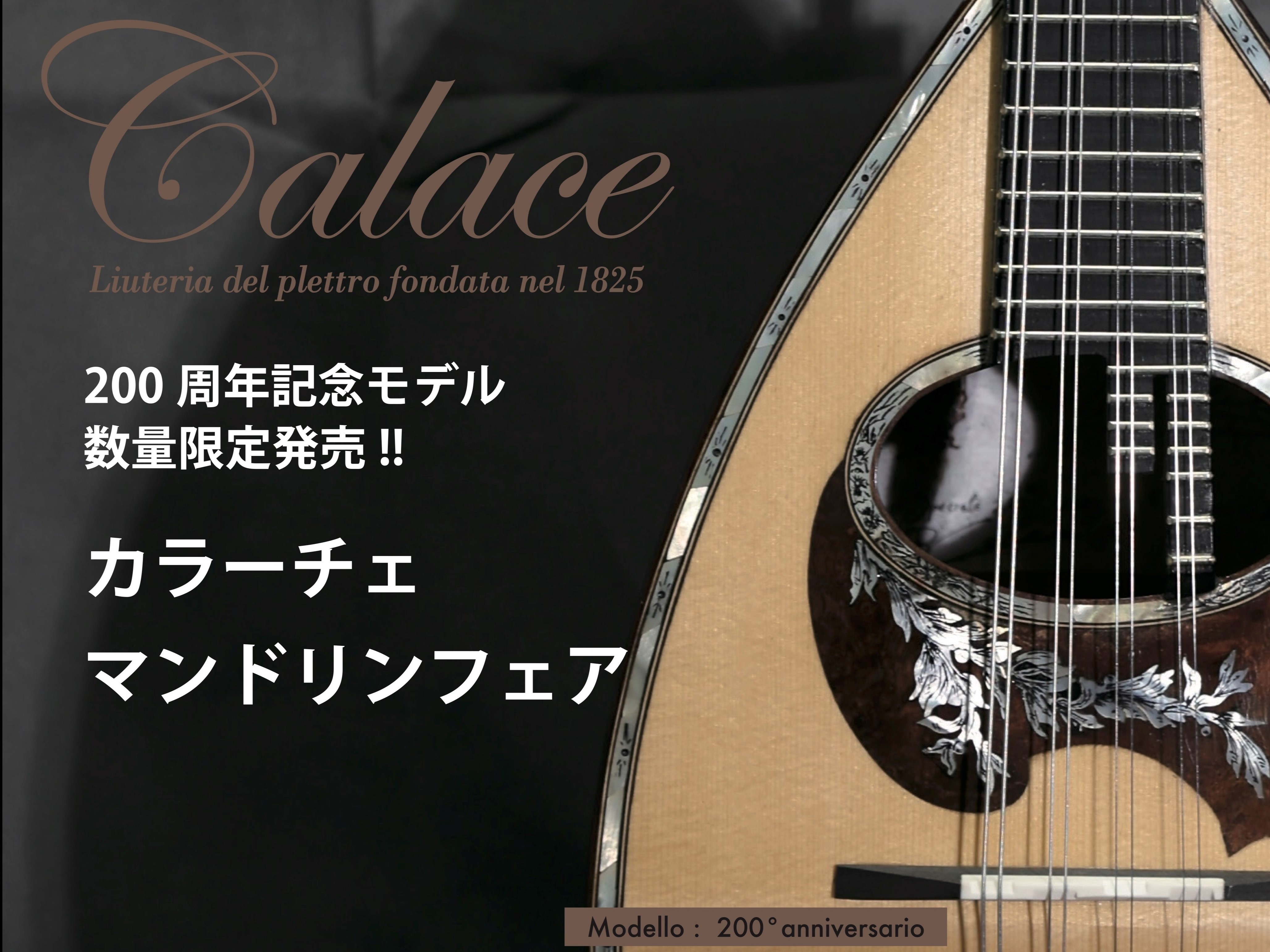 終了【マンドリン】カラーチェマンドリンフェア2025 inイオンモール