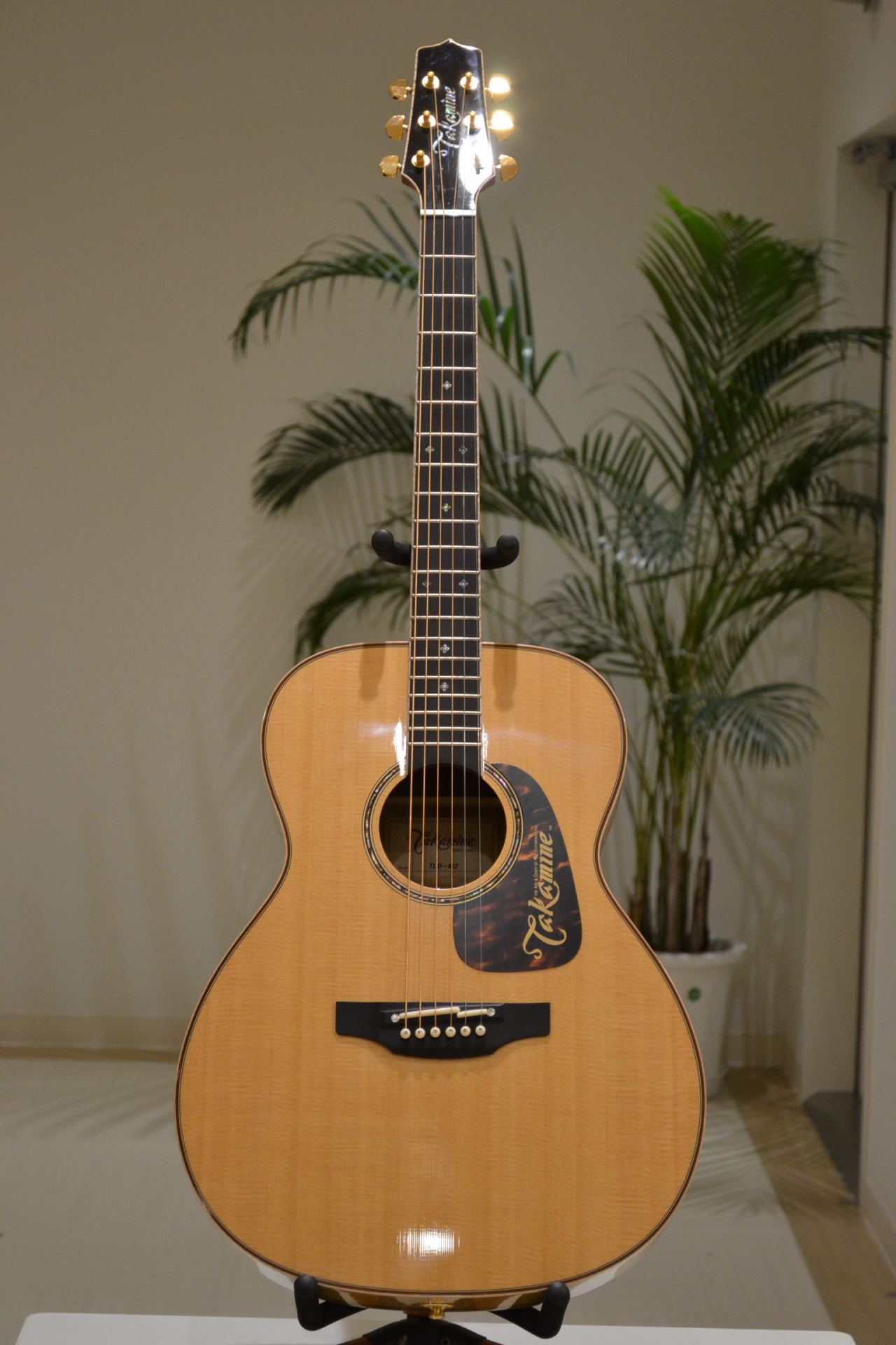 エレアコならこれ!国産メーカーTakamine(タカミネ)ギター｜島村楽器