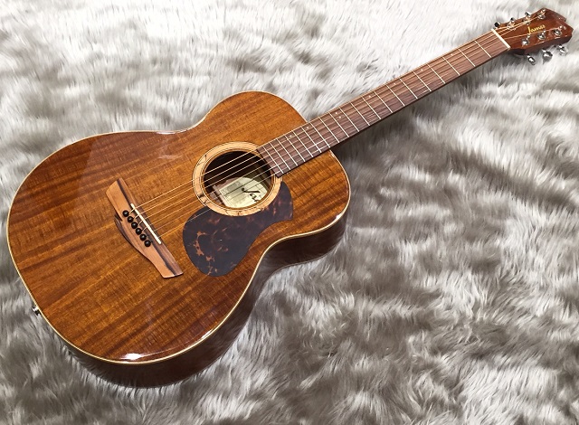 新商品】Jamesから3/4サイズのエレアコが新登場！J-500AFT/K / J