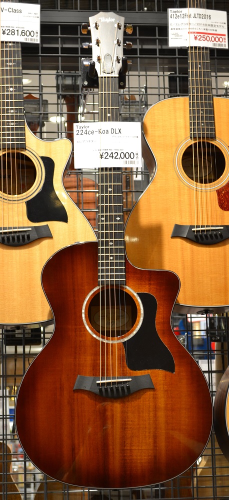 アコースティックギター テイラー【224ce Koa DLX】販売中｜島村楽器