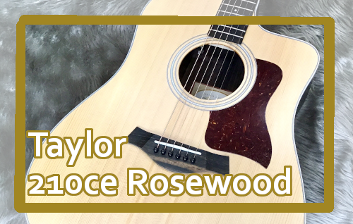 エレアコギター】Taylor 210ce Rosewood｜島村楽器 イオンモール直方店