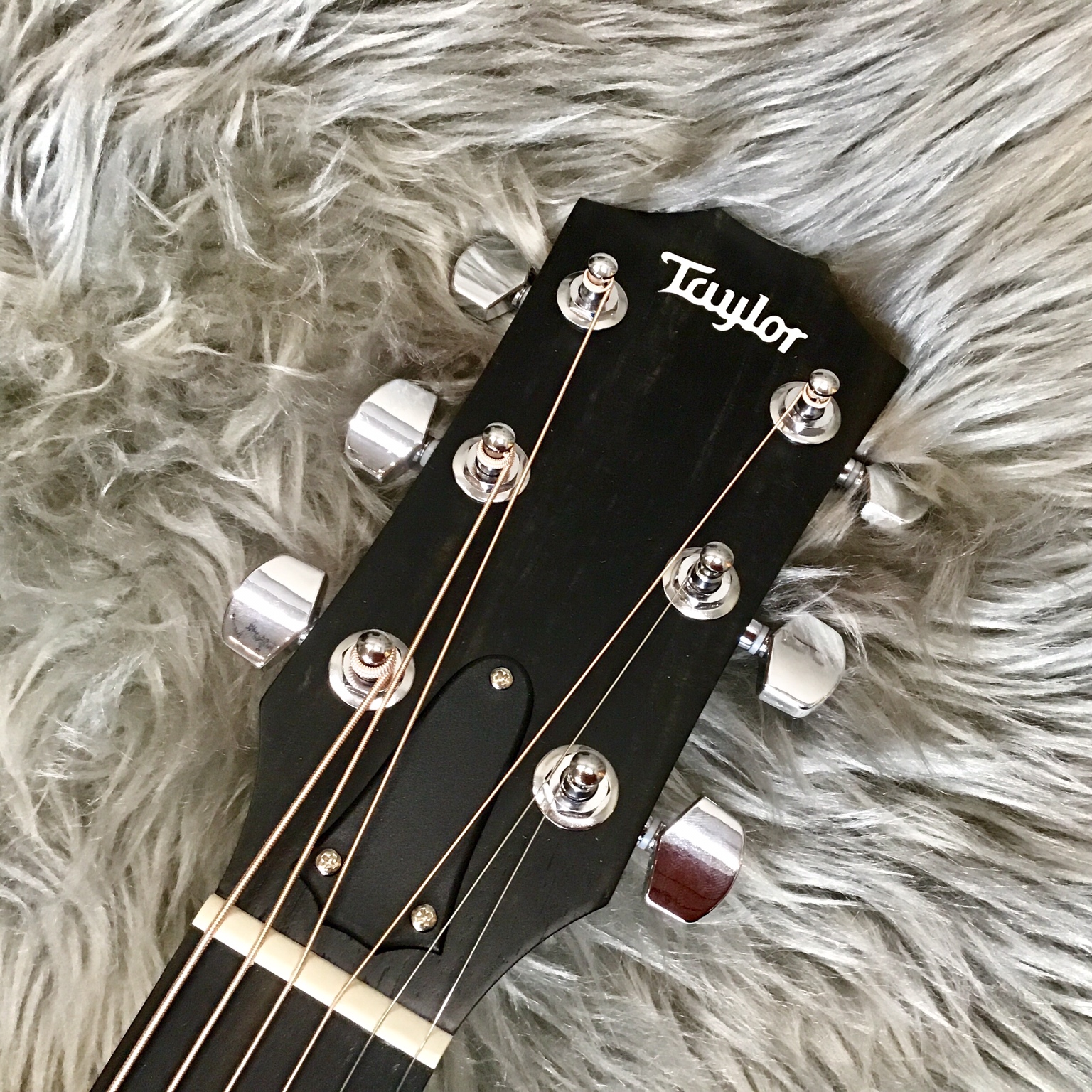 エレアコギター】Taylor 210ce Rosewood｜島村楽器 イオンモール直方店
