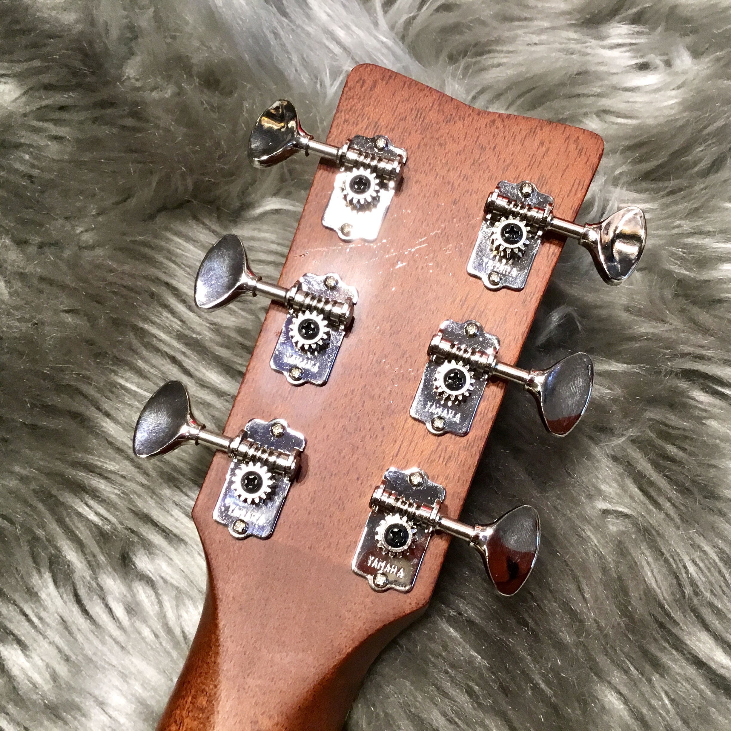 アコースティックギター】YAMAHA FG5｜島村楽器 イオンモール直方店