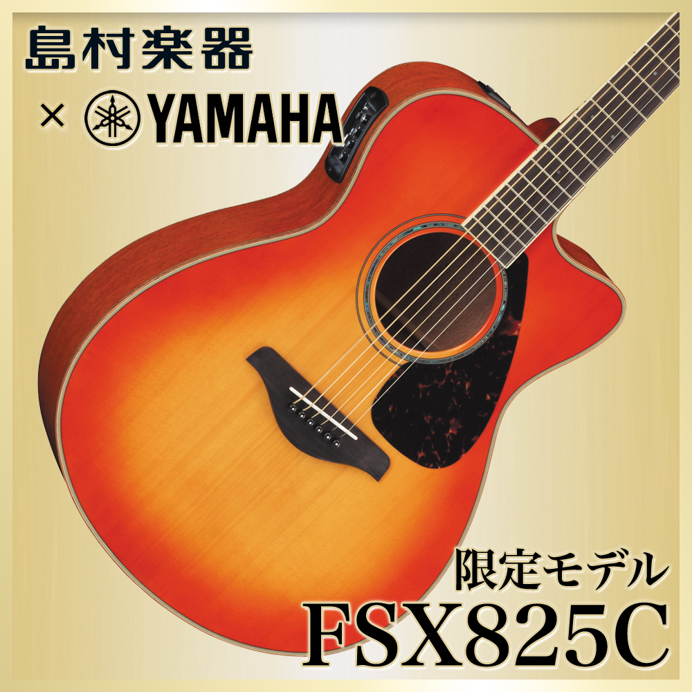 ギタリスト必見】ライブに大活躍！色んなエレアコ取り揃えてます