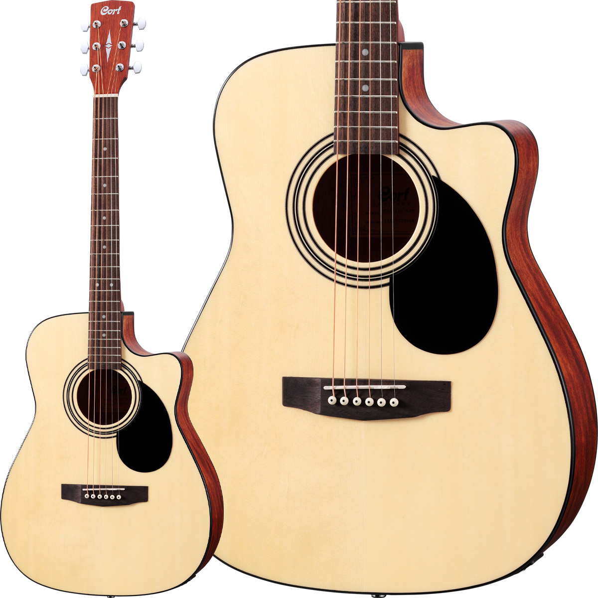 アコースティックギター】最初の1本に最適！低価格帯ギター「Cort