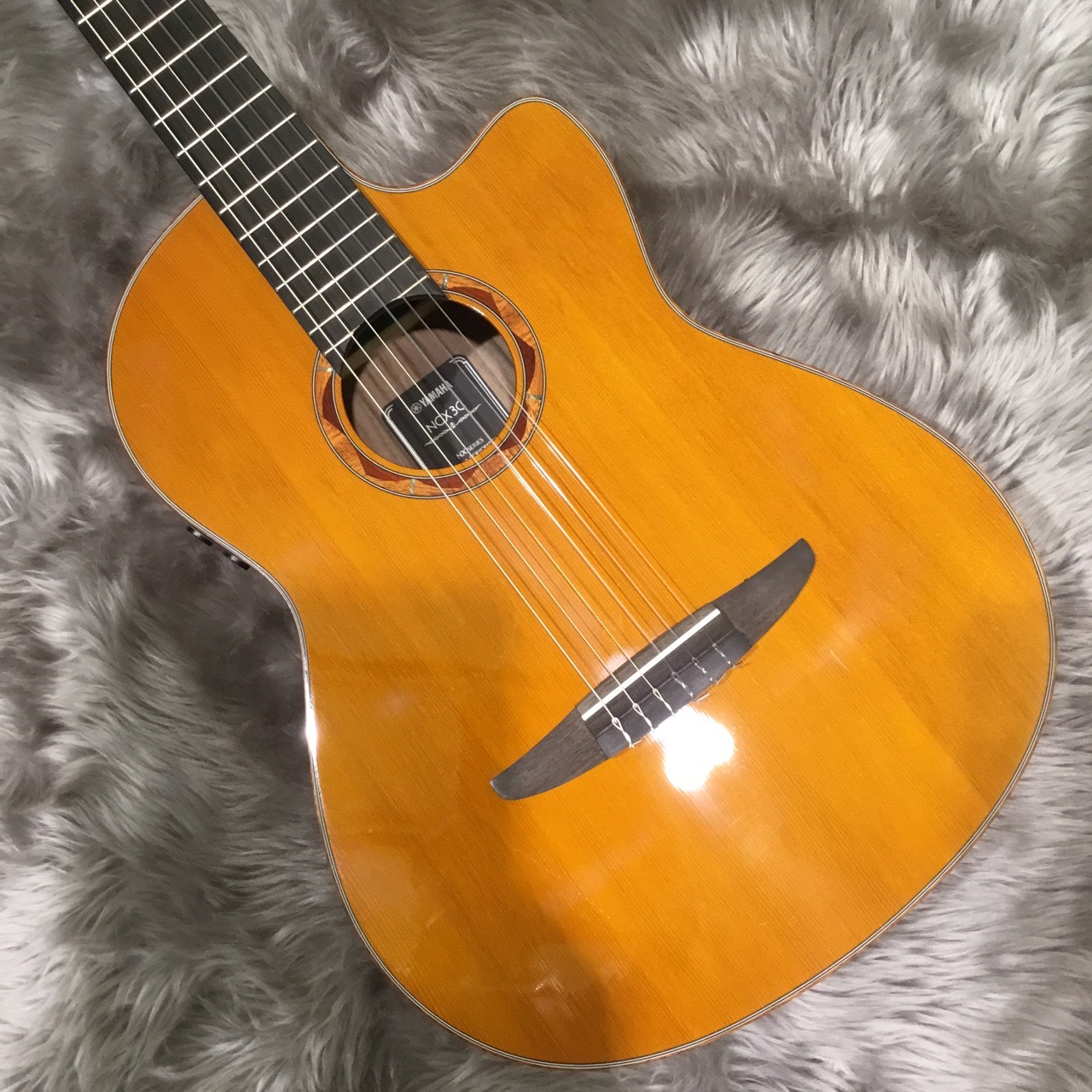 エレガットギター取り揃えております！！｜島村楽器 札幌クラシック店