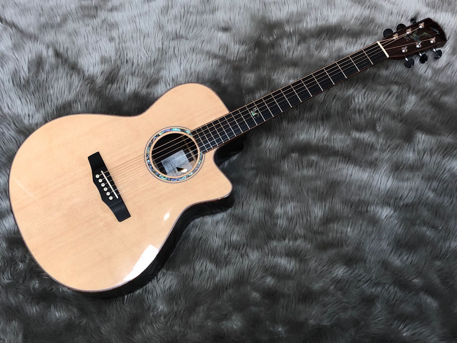 期間限定】MORRISアコギ展示中！【アコースティックギター】｜島村楽器