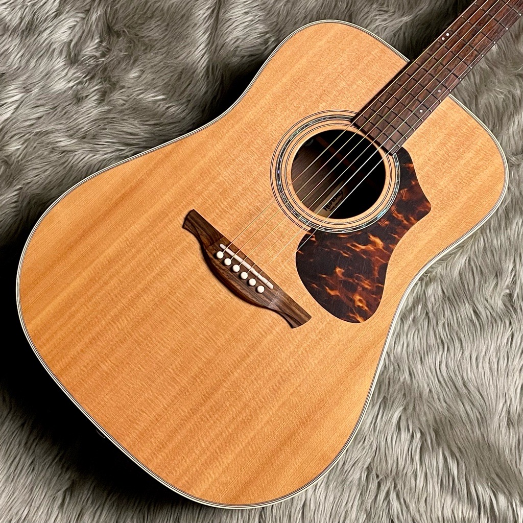 2025 6/24更新！】中古アコースティックギター注目ラインナップ紹介