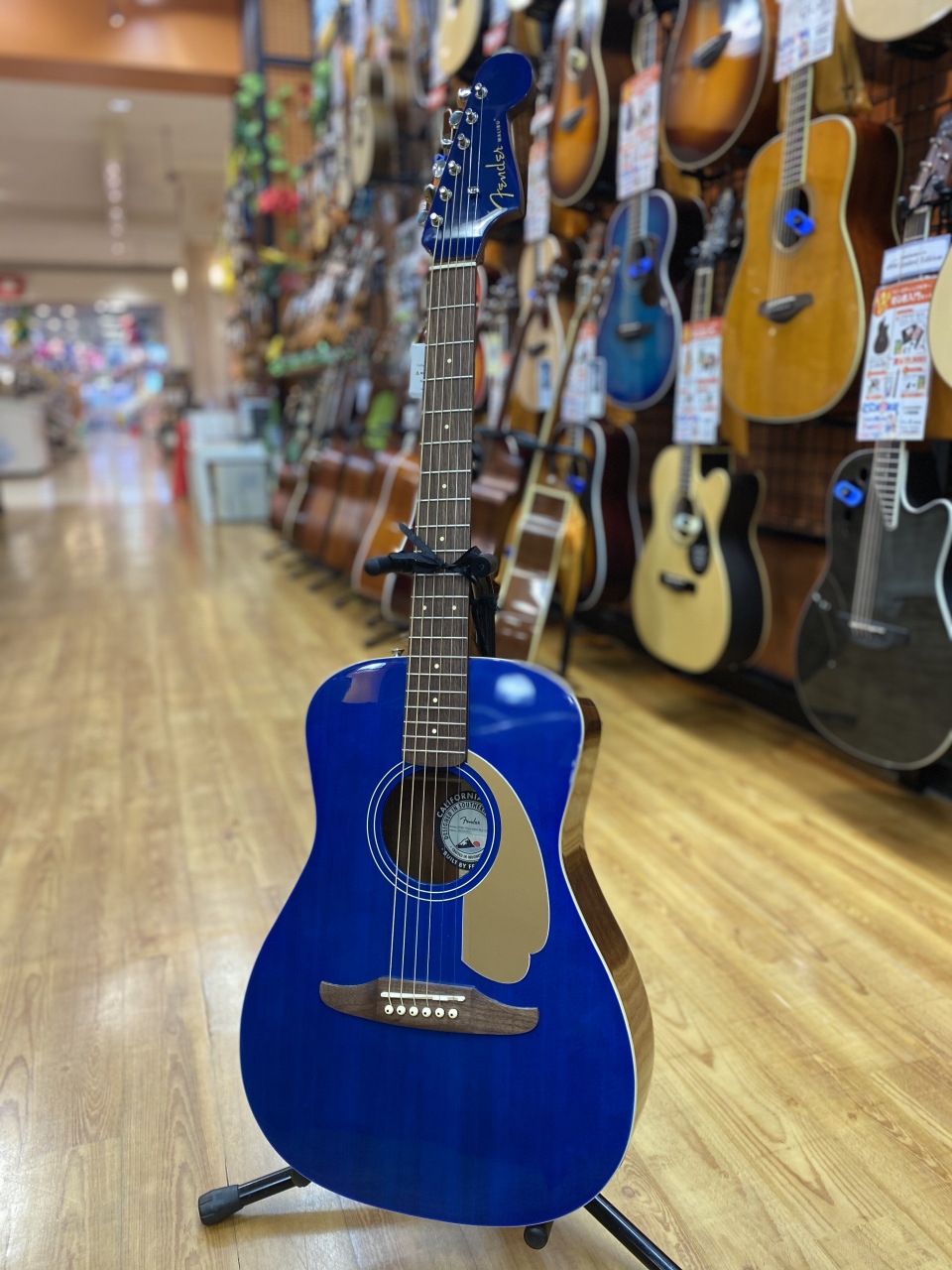 入荷情報】Fenderのアコギ、FSR Malibu Player 限定カラーモデル入荷
