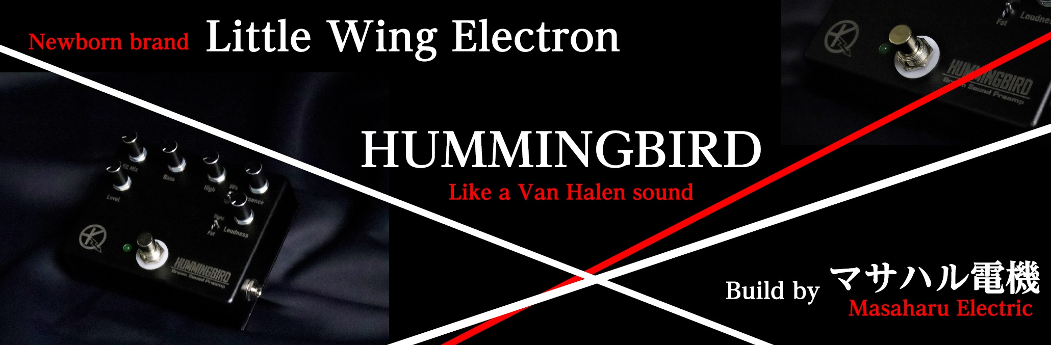島村楽器立川店限定 Little Wing Electron【HUMMINGBIRD C212】店頭