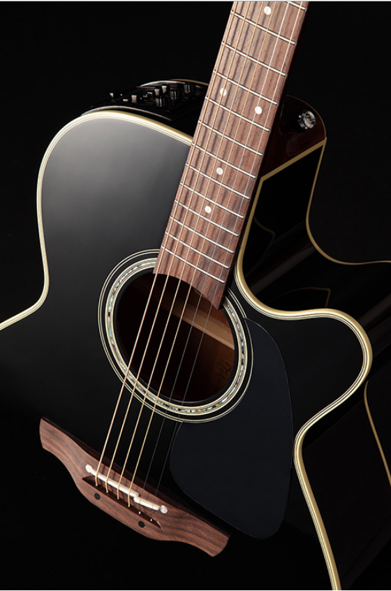 アコースティックギター】限定200本！6連ペグ仕様Takamine TDP500-6(BL