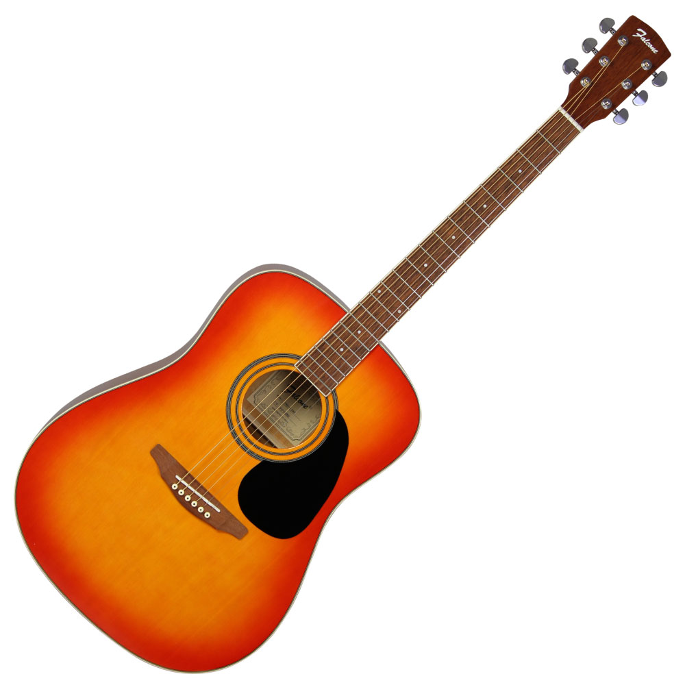 アコースティックギター EliteTAKAMINEGAKKI HM200 アコースティック