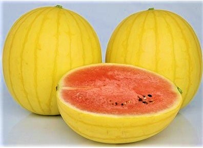 小玉スイカ種子】ナント交配 「愛娘ひなた」 （まなむすめひなた