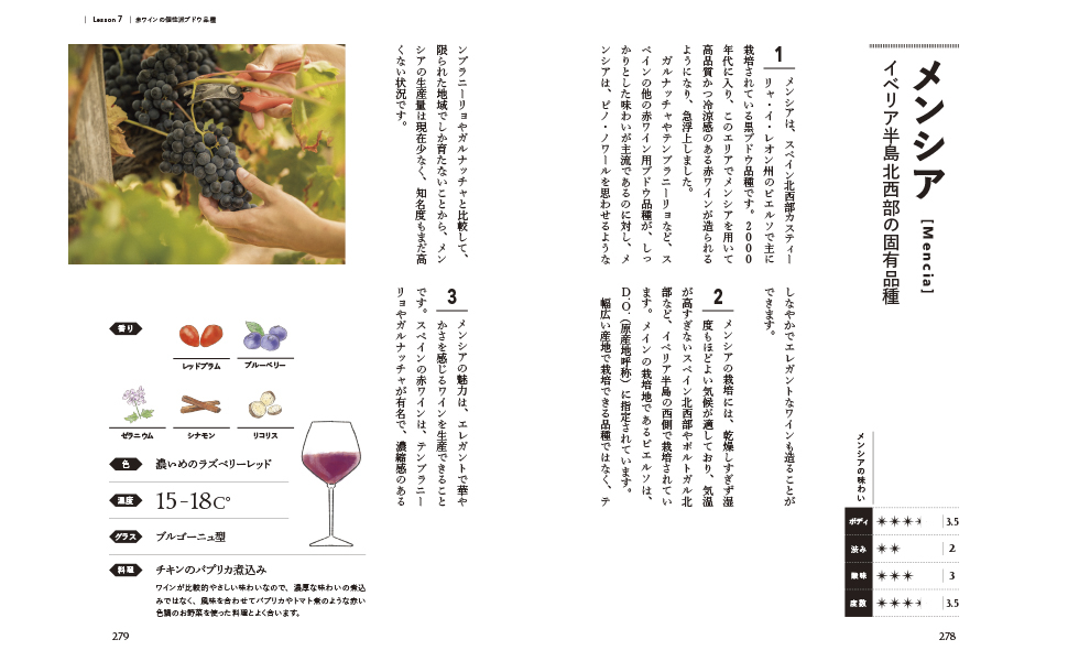 THE STUDY OF WINE／田邉公一 著 | 新星出版社