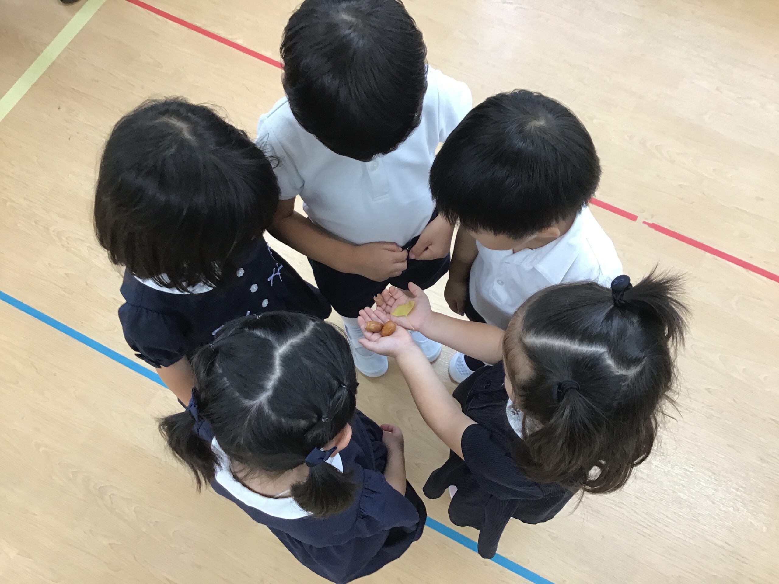 成蹊小学校 の受験対策- 小学校受験・幼稚園受験の伸芽会