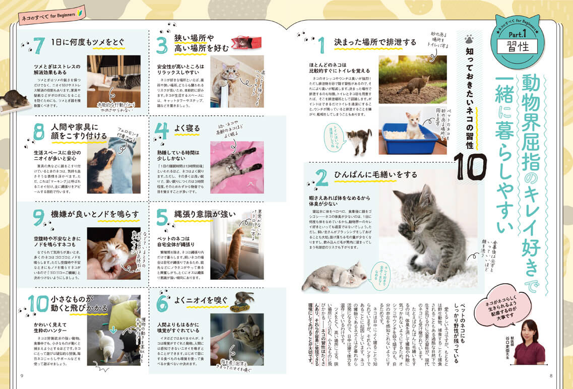 完全ガイドシリーズ347] はじめてでも安心 ネコとの新生活完全ガイド