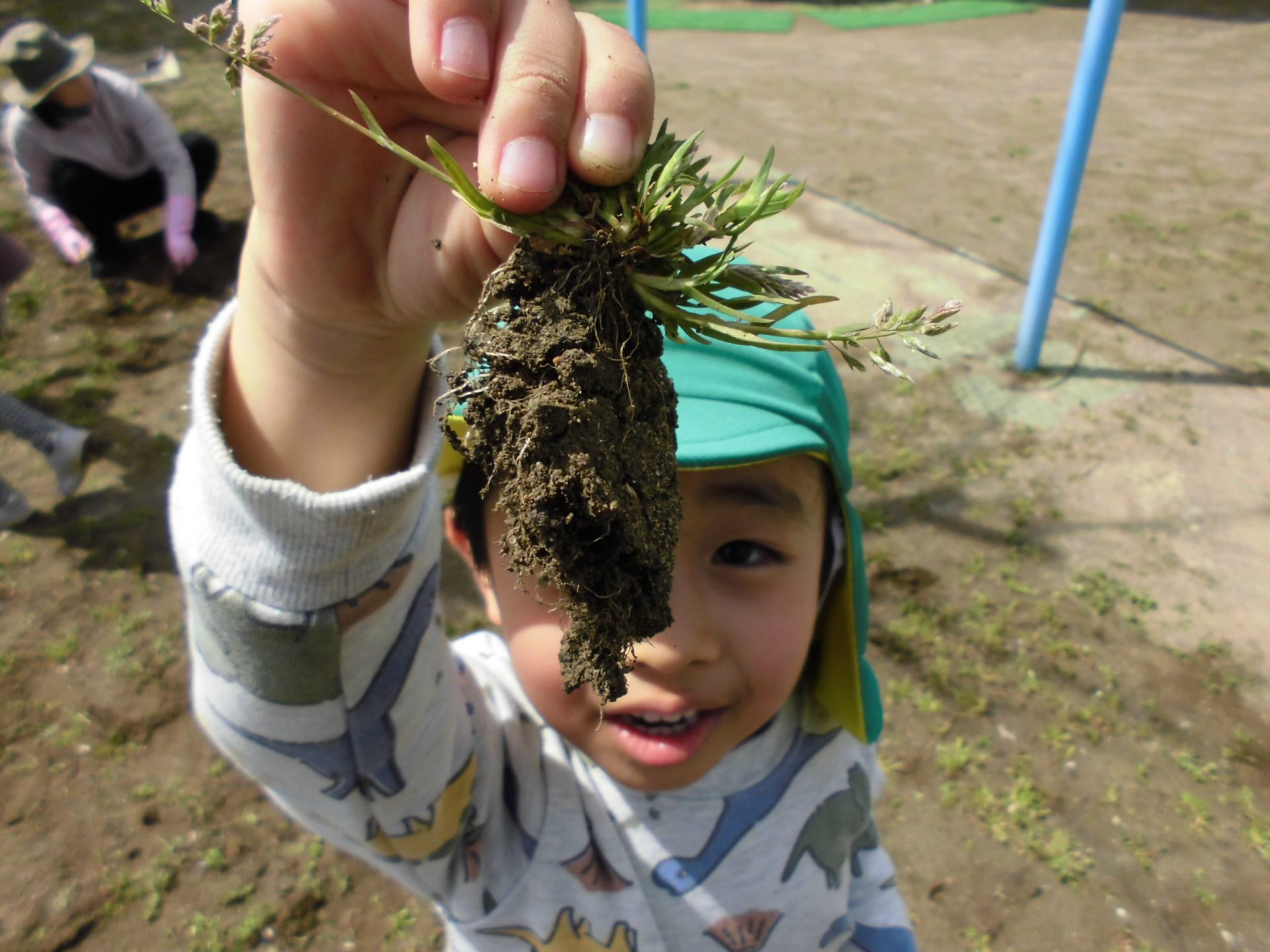 根っこ比べ - 信州やまほいくの郷