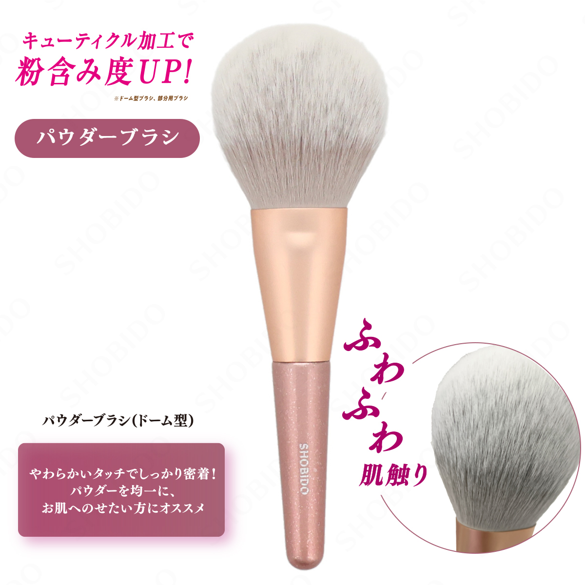 数量限定!2本SET／ Wアイシャドウ＆パウダーブラシ限定セット