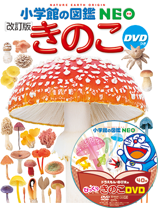小学館の図鑑NEOシリーズ | 小学館