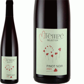 2月28日から発送】MT・ヴァン・ピノ・ノワール[2024]マルク・テンペ