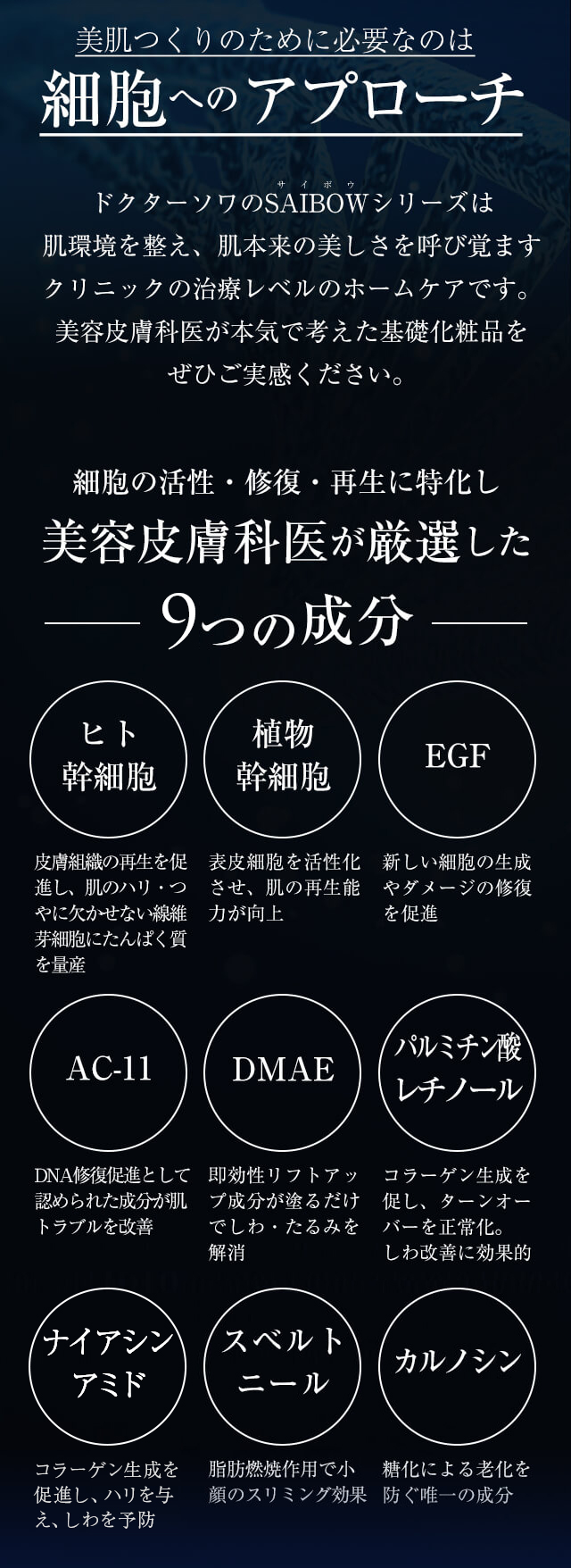 SAIBOWシリーズ - 【公式】ドクターソワ（DR.SOIE）オンラインストア