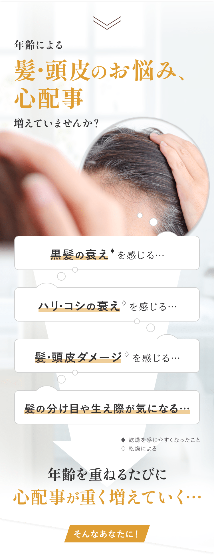 50の恵 黒髪アクティブエッセンス | ロート製薬オンライン【公式】