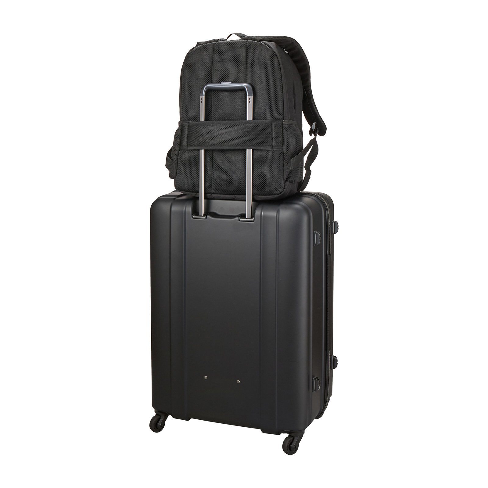 ミッフィー70周年限定ナインチェデザイン | シフレオンラインストア