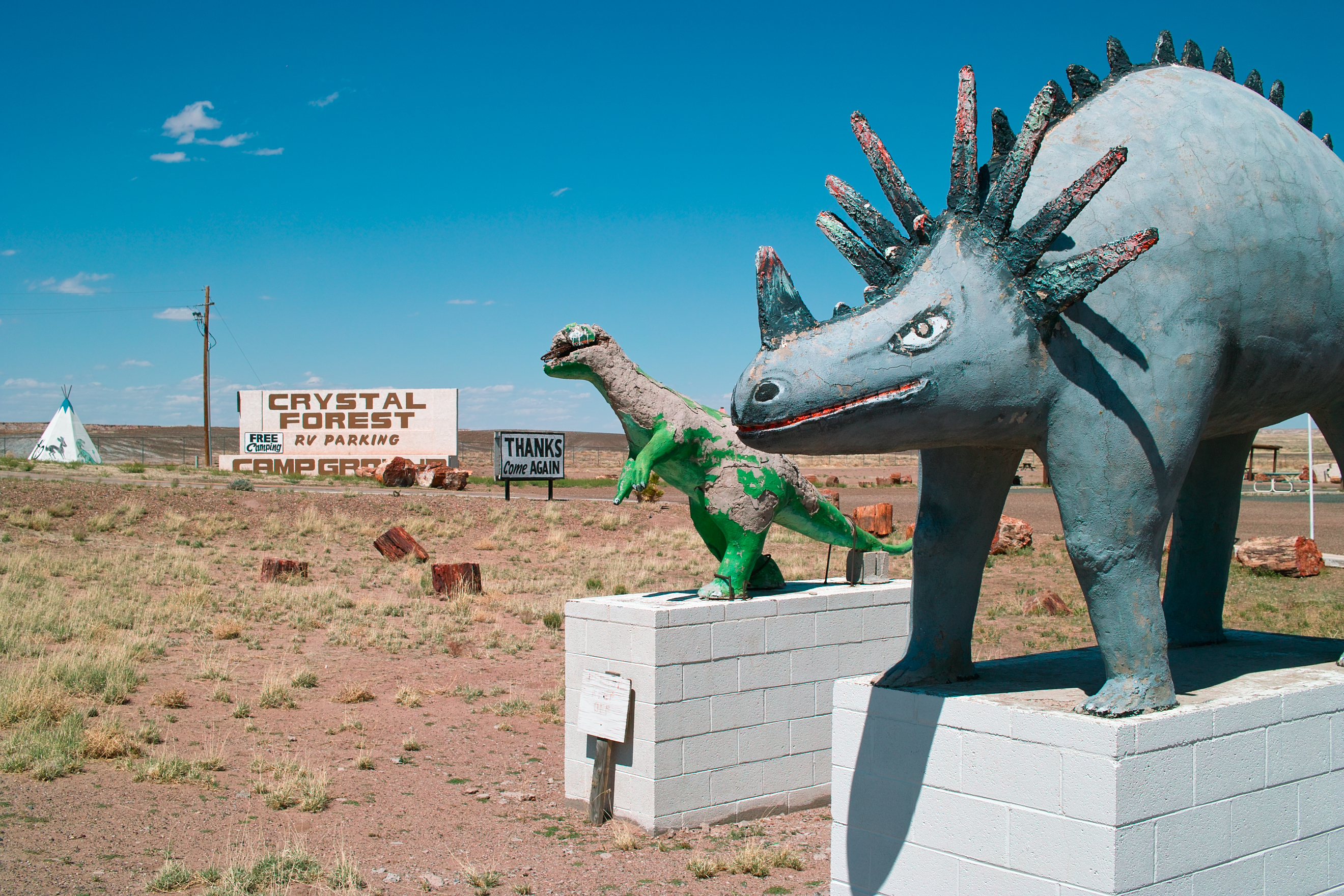 押本龍一 － 私の出会う光景 － 第35回：化石の森国立公園（Petrified