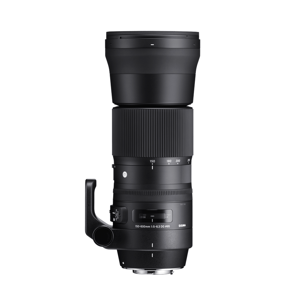 150-600mm F5-6.3 DG OS HSM | レンズ | Sigma