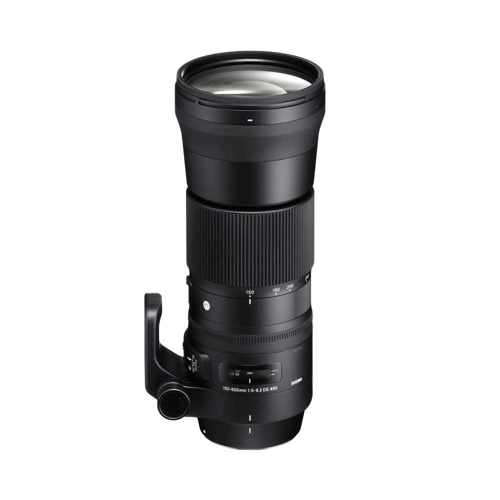150-600mm F5-6.3 DG OS HSM | レンズ | Sigma