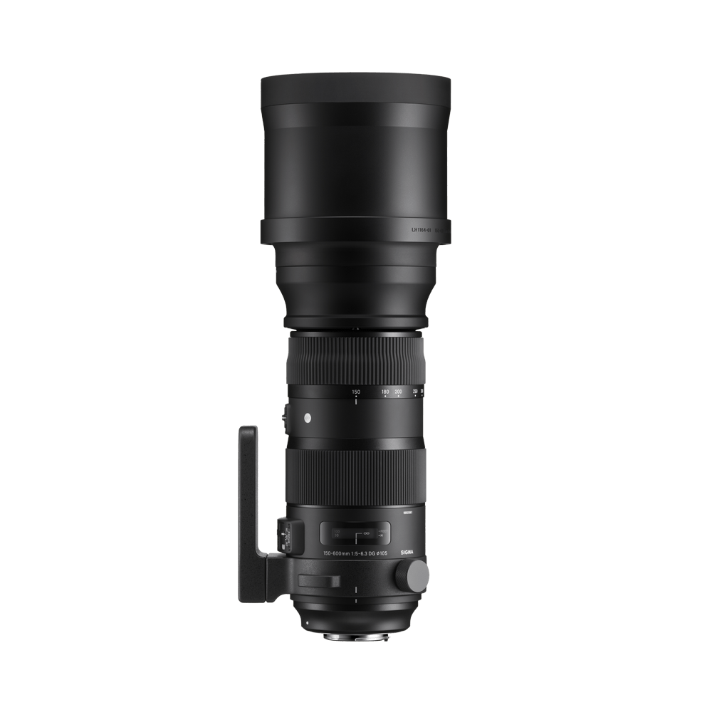 150-600mm F5-6.3 DG OS HSM | レンズ | Sigma