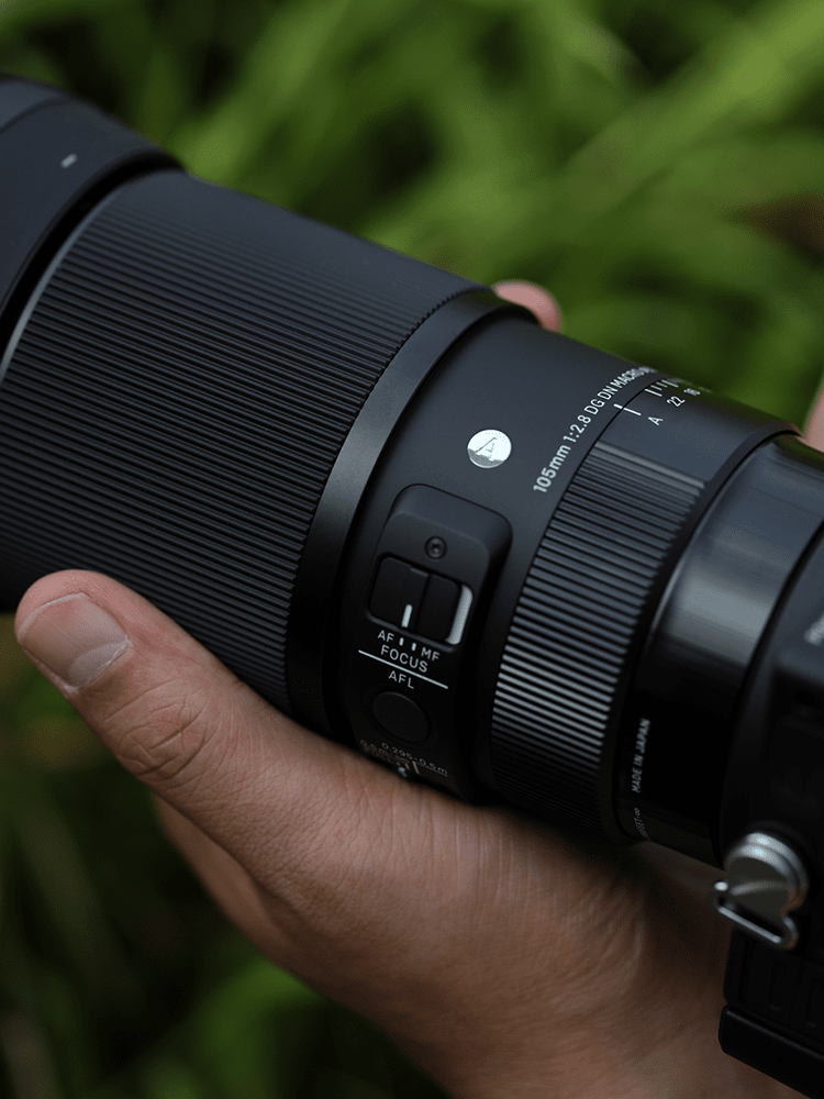 105mm F2.8 DG DN MACRO | LENSES | Sigma
