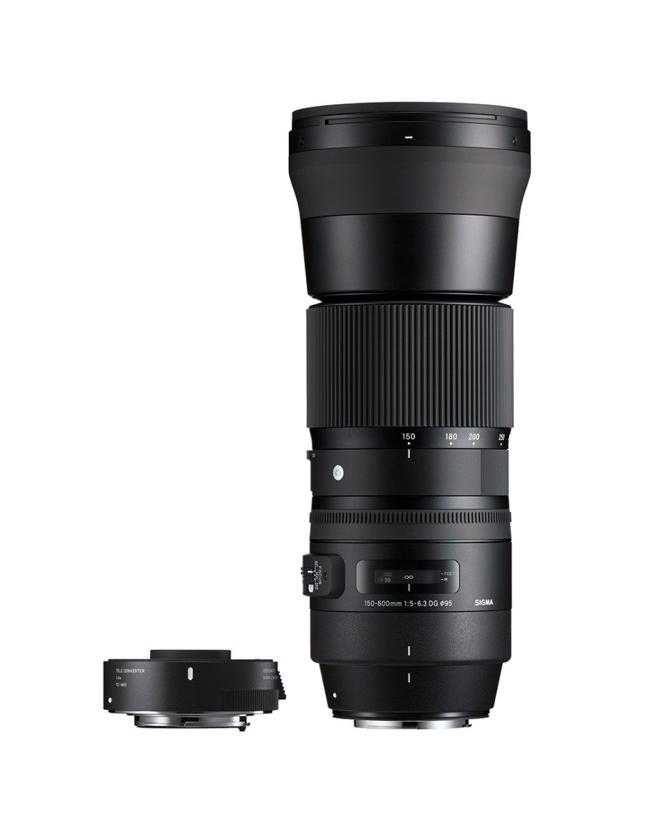 SIGMA 150-600mm Contemporary + TC-1401 1.4x Teleconverter | SIGMA