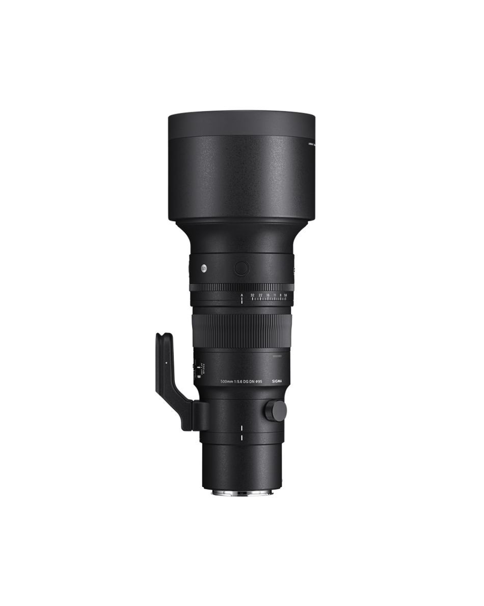 SIGMA 500mm F5.6 DG DN OS | Sports | SIGMA Corporation of America