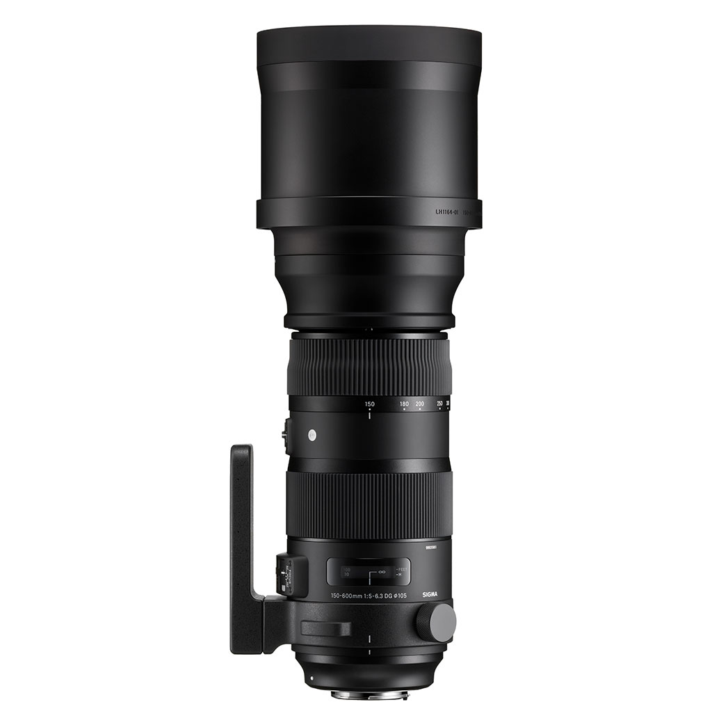 SIGMA 150-600mm F5-6.3 DG OS HSM | Sports | SIGMA Corporation of