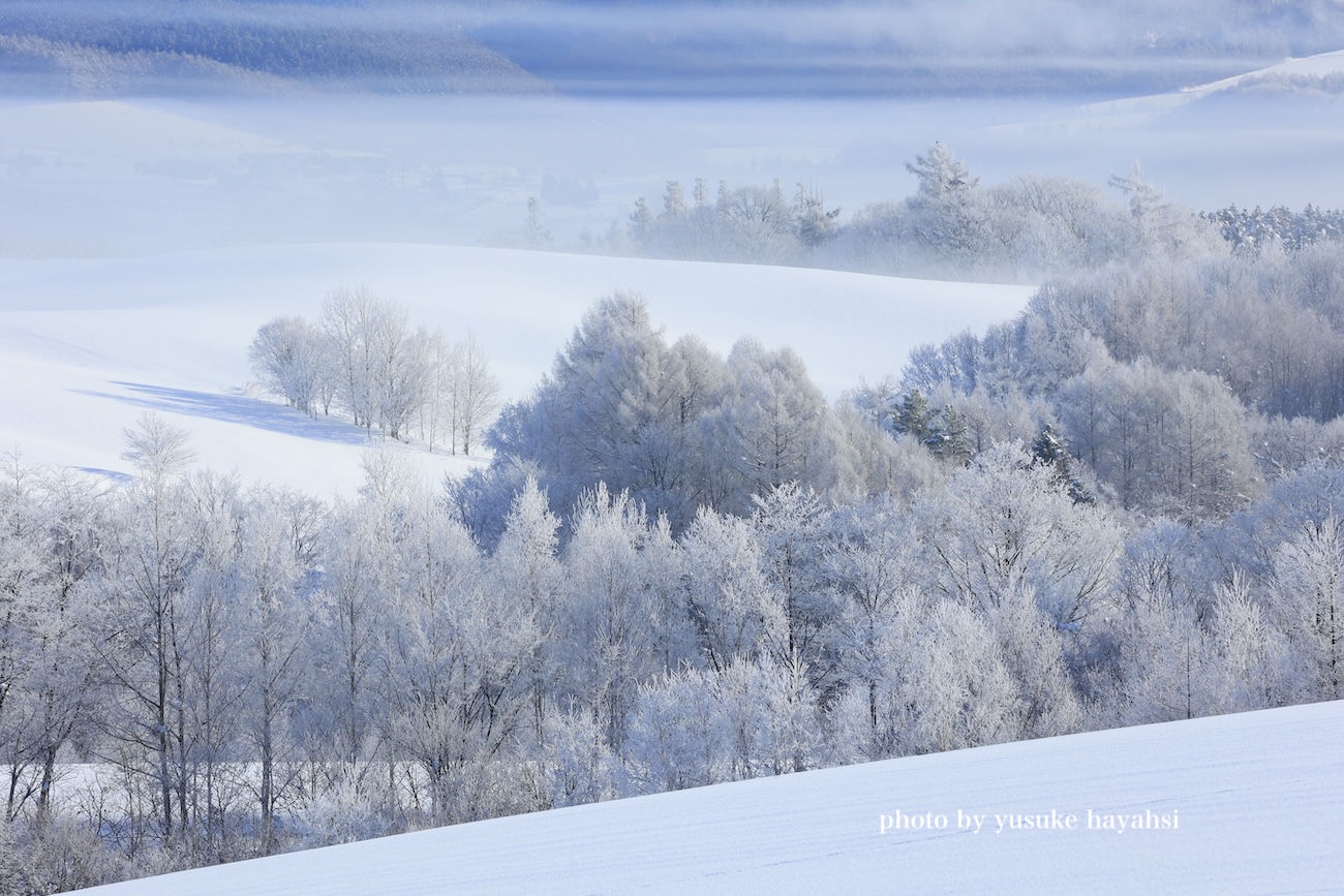 美瑛・富良野 写真撮影ツアー 北海道 美瑛の写真家 林 祐介のPHOTO