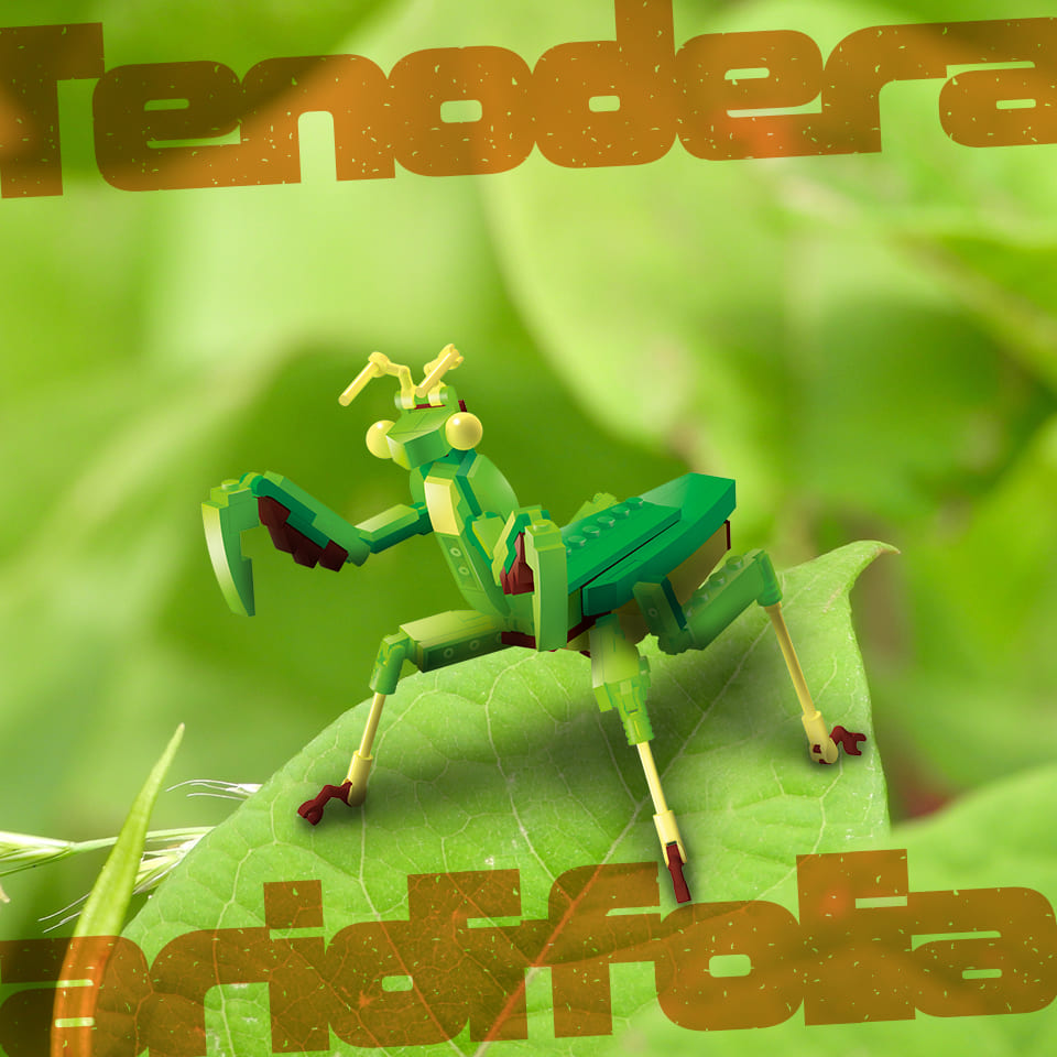 131パーツのブロックでつくる！オオカマキリ - 株式会社シルバーバック