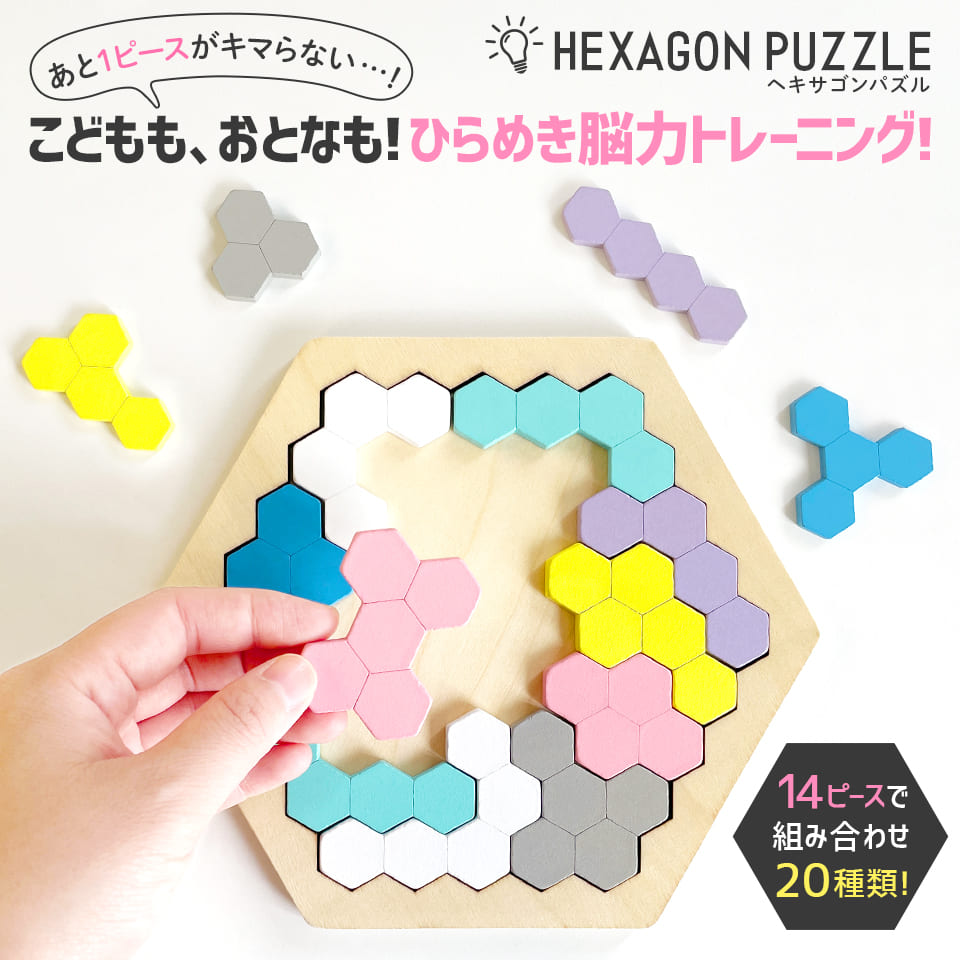 木製！ひらめき 図形パズル HEXAGON PUZZLE（ヘキサゴンパズル