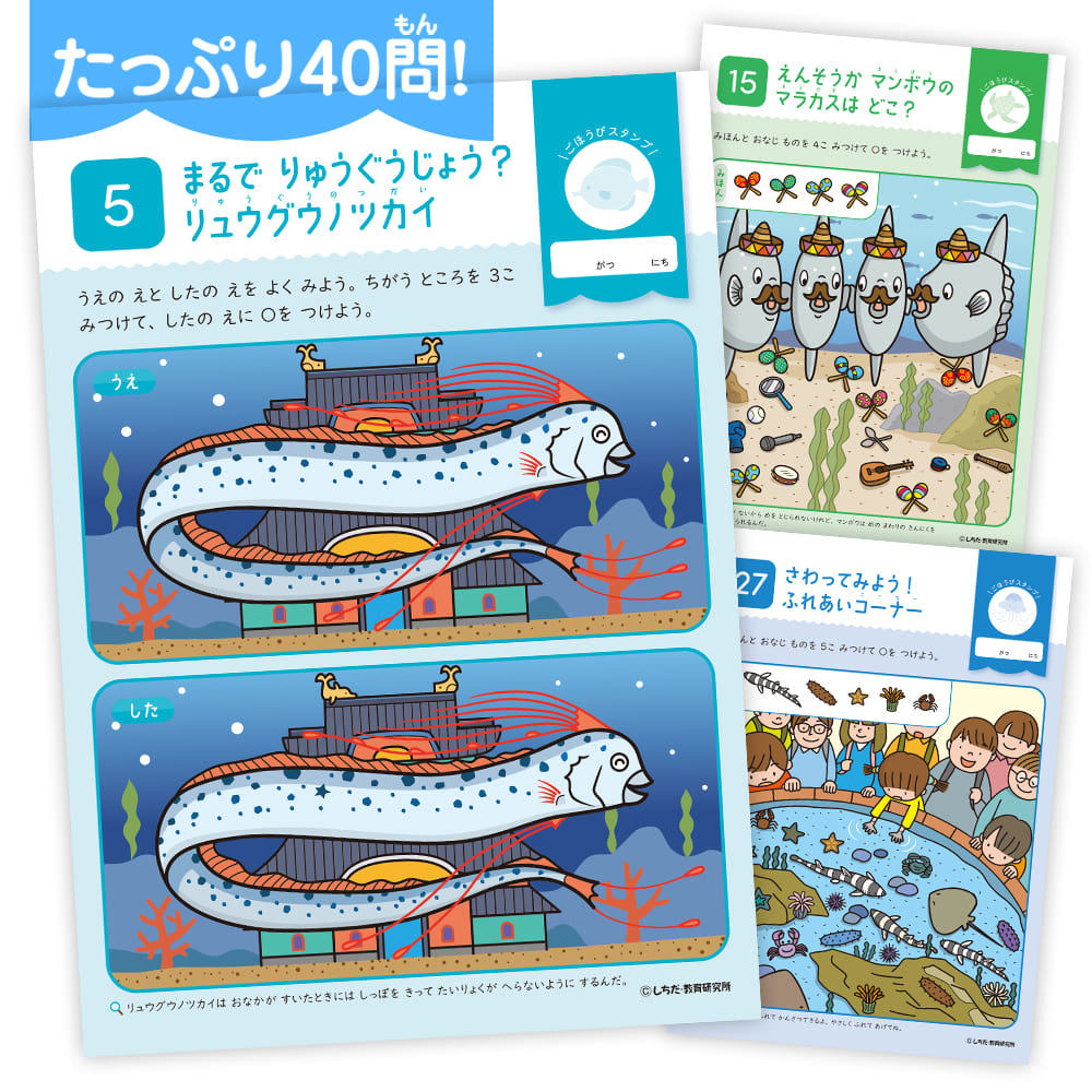 下*田様 【最終在庫】 美品 東シナ海産 蓋付き ガンセキバショウ 6点