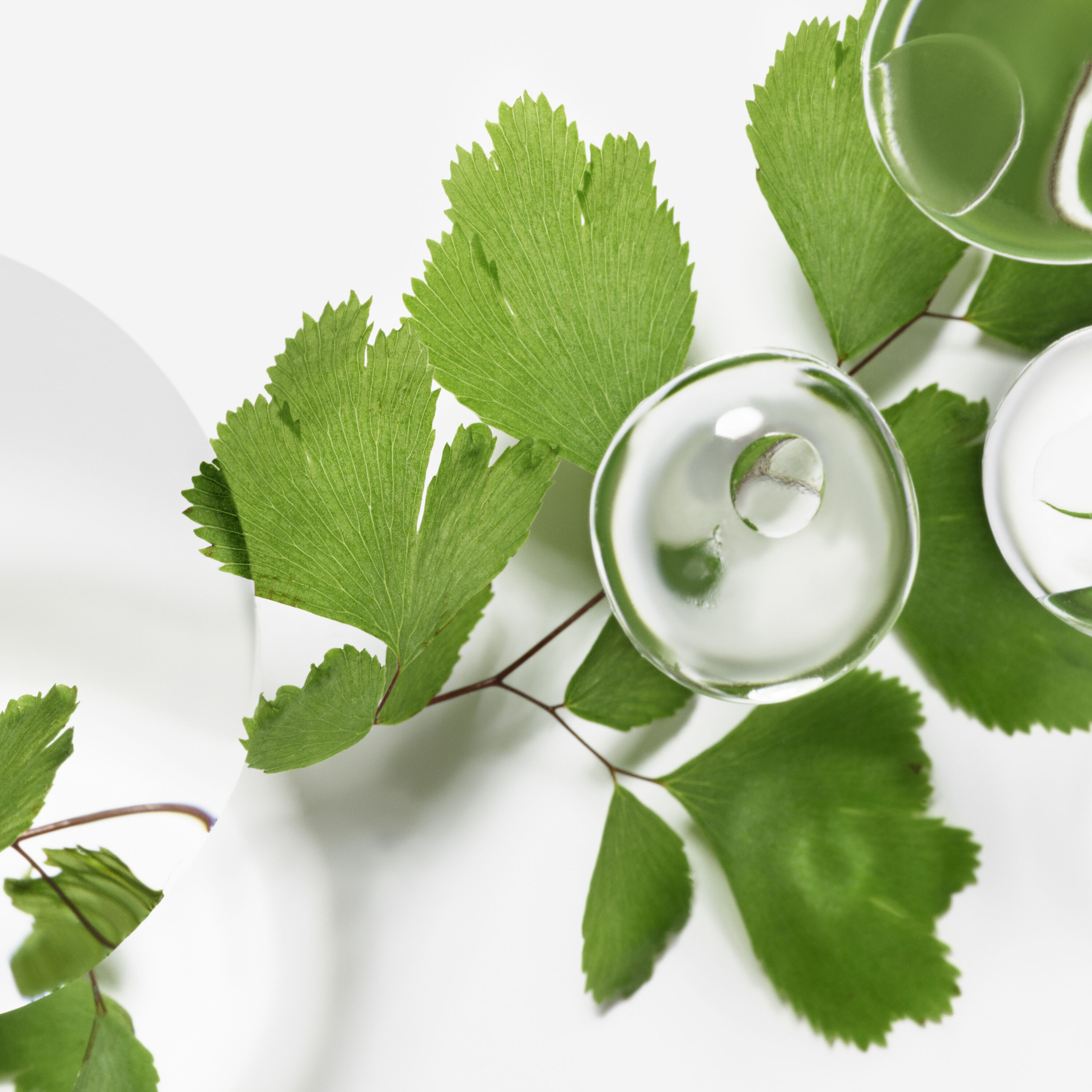 エコロジカル コムパウンド アドバンスト 60ml - Sisley Paris