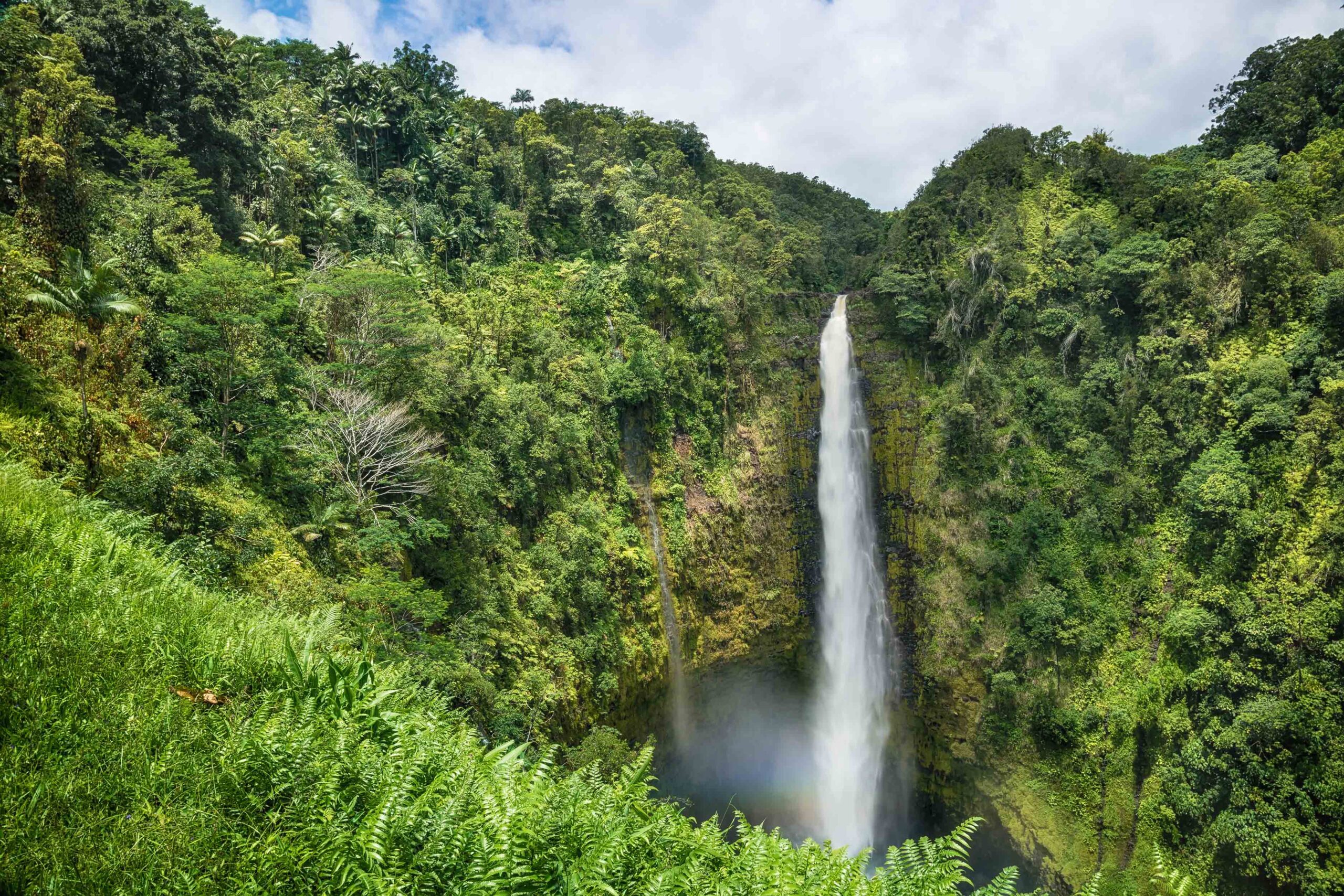 Things to Do Near Hilo on Big Island | Skyline Hawaii