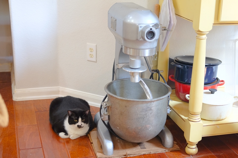 HOBART スタンドミキサー 大型 HOBART スタンドミキサー 大型 HOBART