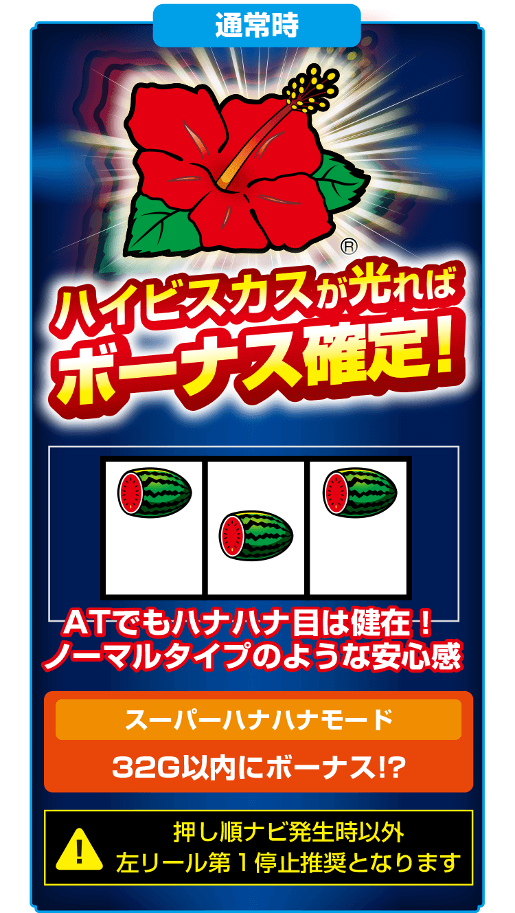 スーパーハナハナ2-30｜公式サイト