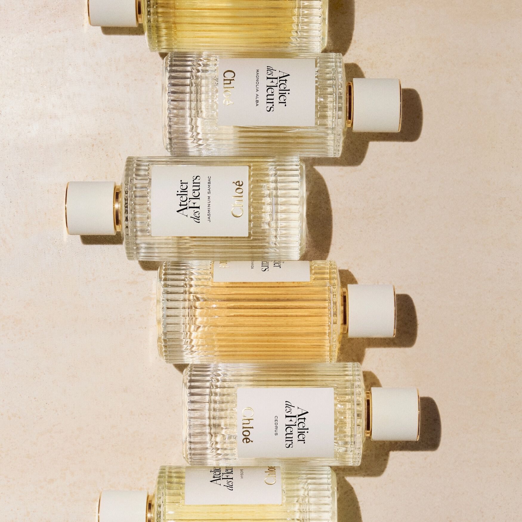 Chloé Atelier des Fleurs Santalum Eau de Parfum | Space NK