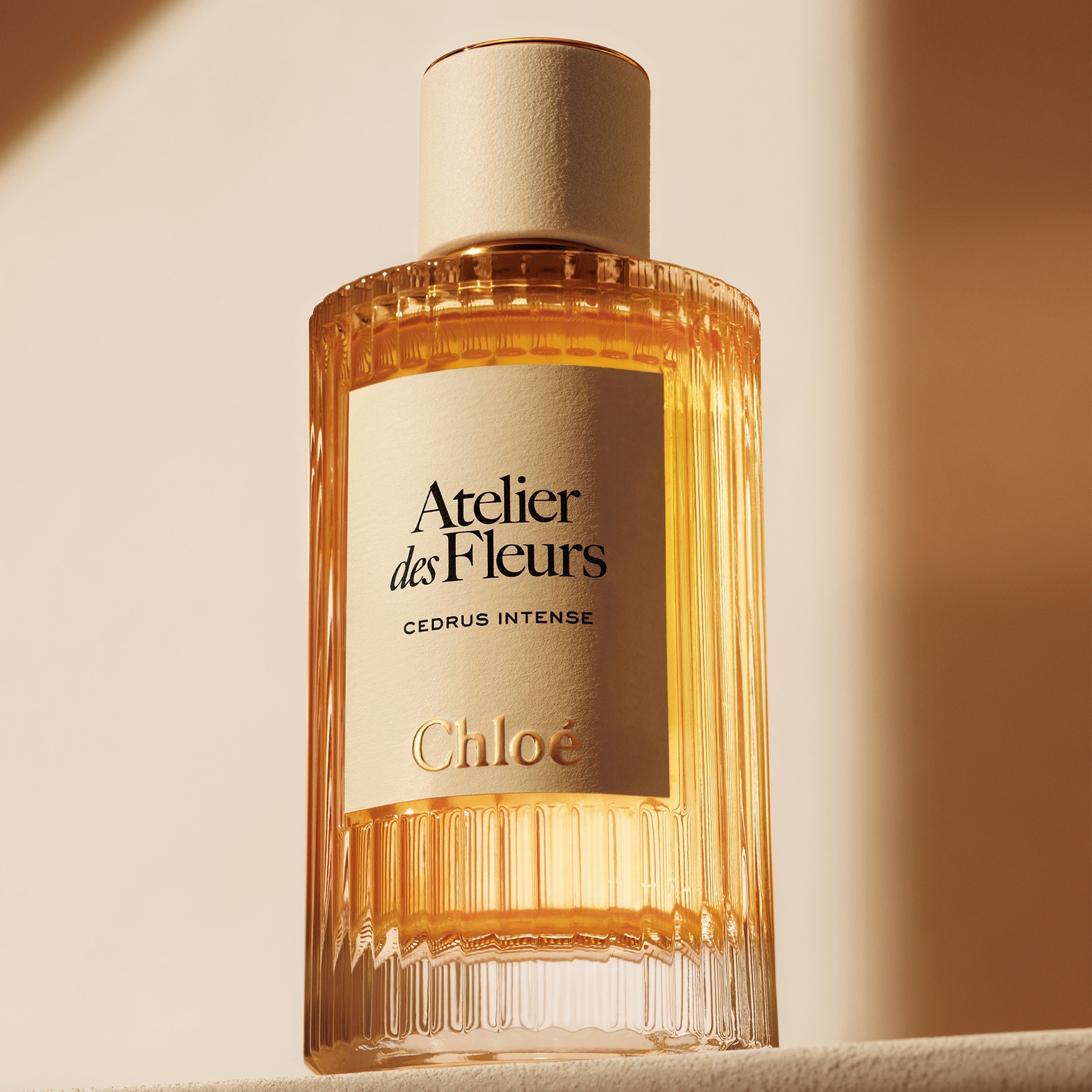 Chloé Atelier des Fleurs Cedrus Intense Eau de Parfum | Space NK