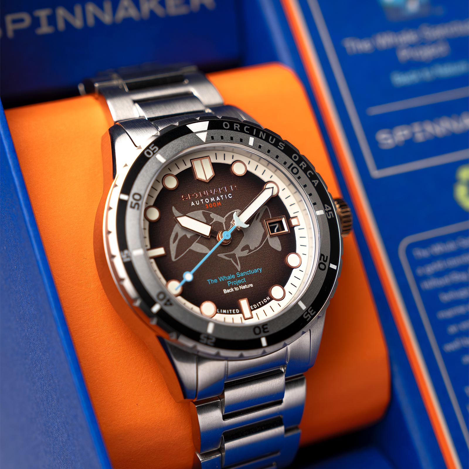 SP-5128-44 | COLLECTION | SPINNAKER | スピ二カー 時計公式サイト