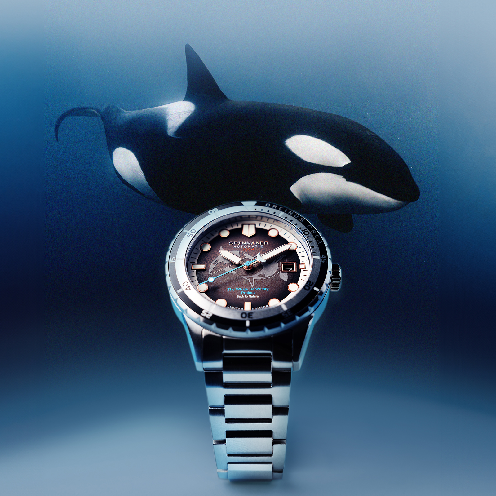 COLLECTION | SPINNAKER | スピ二カー 時計公式サイト