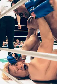 強烈なパウンド叩き込むフライ（上）。02年6月23日「PRIDE.21」で行