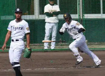 阪神・立石正広、圧巻ドラ1級ボディー！骨格筋量は“佐藤輝明&森下翔太