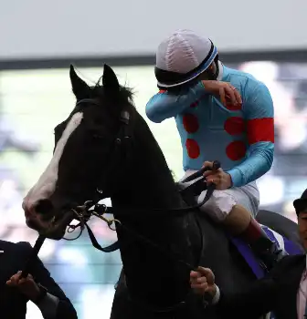 最強イクイノックス電撃引退、種牡馬入り 有馬記念は出走せず